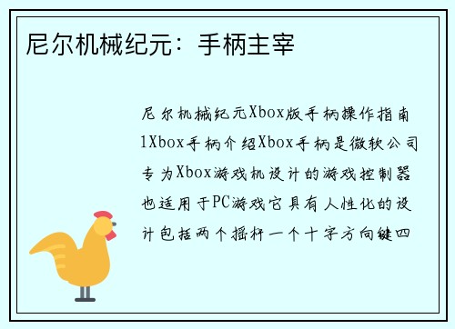 尼尔机械纪元：手柄主宰